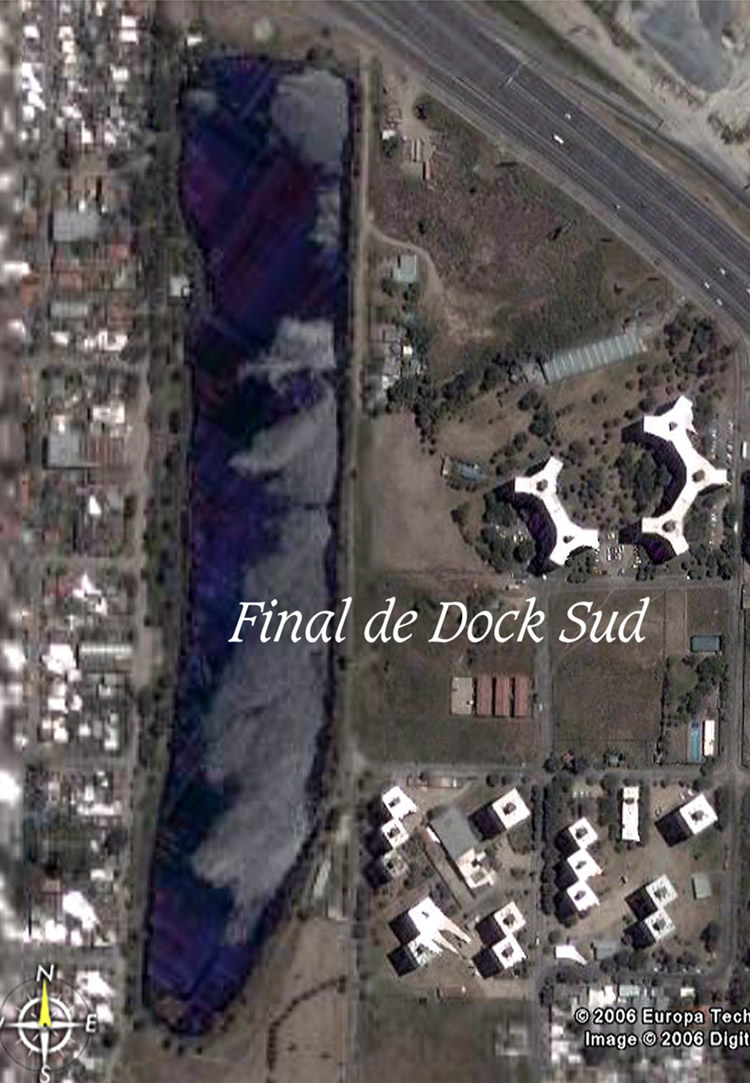 estpomago originario de las peores pestes del Dock Sud