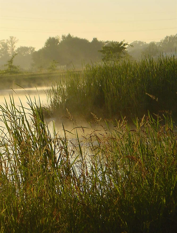 las humedades, los arroyos y Natura